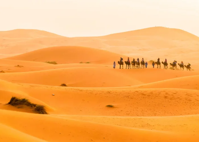 3-Day Desert Trip