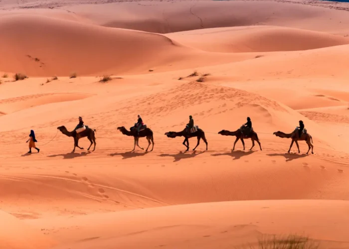 3-Day Desert Tour