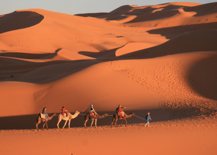 Sunset Camel Trek