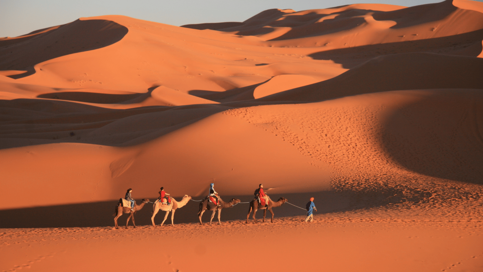 Sunset Camel Trek