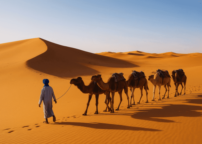 3-Day Marrakech to Fes Desert Adventure