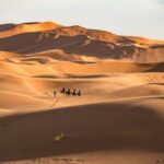 Luxury 10-Day Morocco Royale Tour from Casablanca