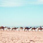 Tour di Marrakech e delle spiagge di Essaouira