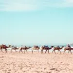 Tour di Marrakech e delle spiagge di Essaouira