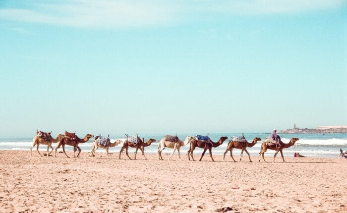 Tour di Marrakech e delle spiagge di Essaouira
