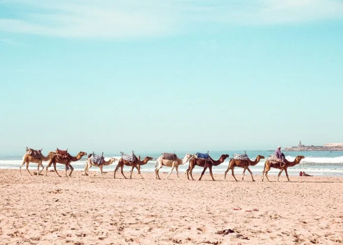 Tour di Marrakech e delle spiagge di Essaouira